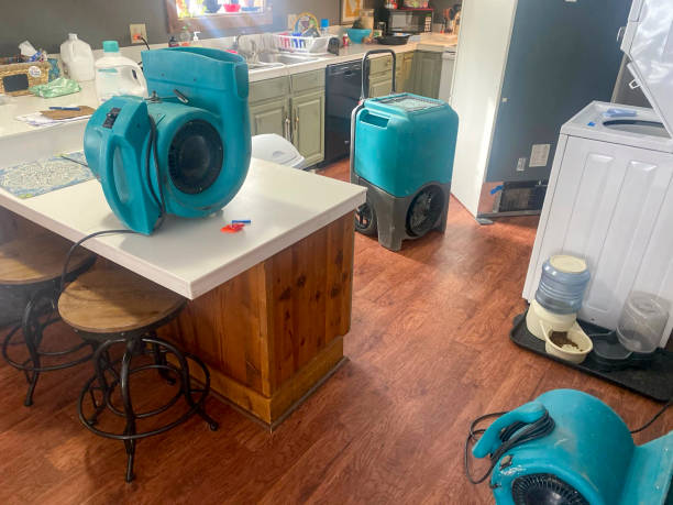 Best Water damage restoration near me  in Redwood City, CA