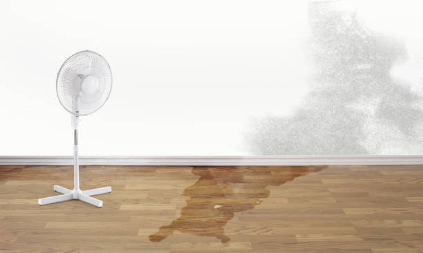 Best 24/7 water damage repair  in Redwood City, CA