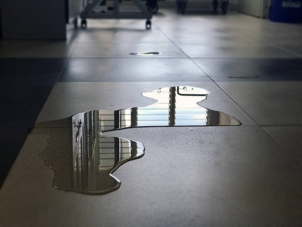 Best Commercial water damage restoration  in Redwood City, CA