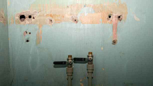 Best Water damage restoration experts  in Redwood City, CA