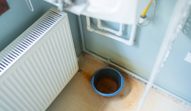 Best Mold removal after water damage  in Redwood City, CA
